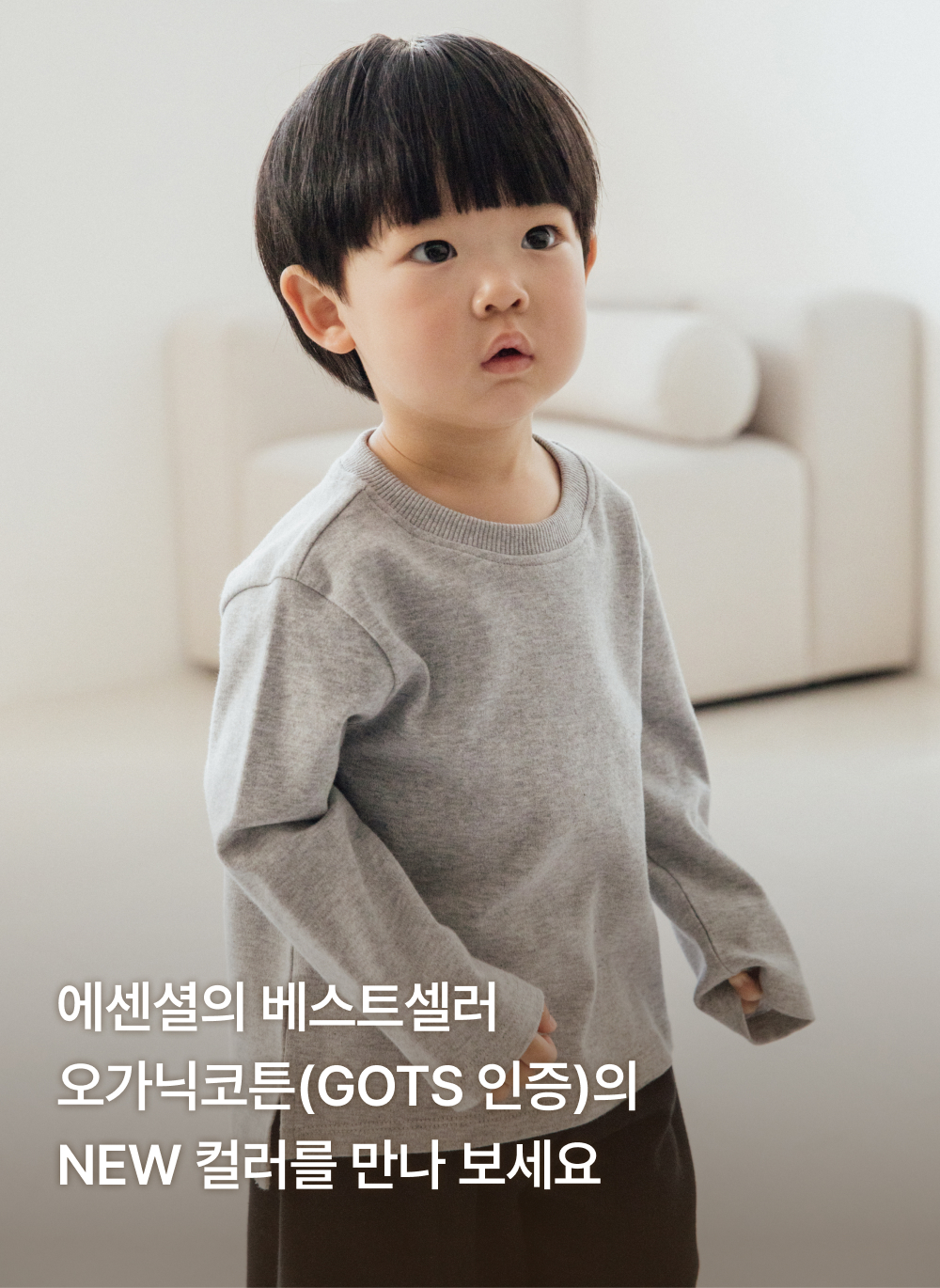 오가닉코튼 레귤러핏 데일리 티셔츠