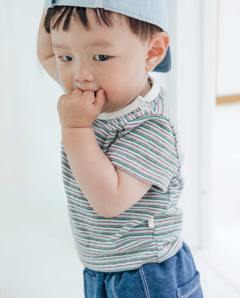 コットンスパン ストライプ 半袖 Tシャツ