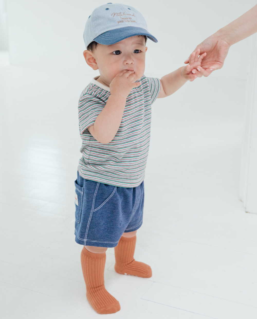 コットンスパン ストライプ 半袖 Tシャツ