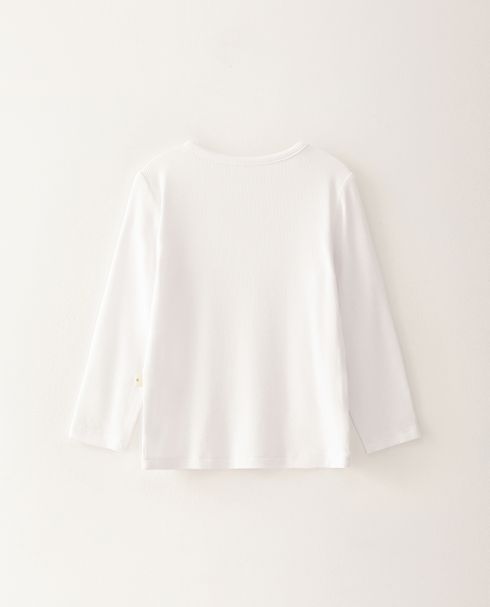 ふんわりもちもち ラウンドネックTシャツ IVX バック
